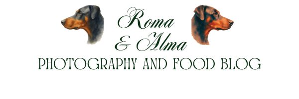 Roma & Alma Logo