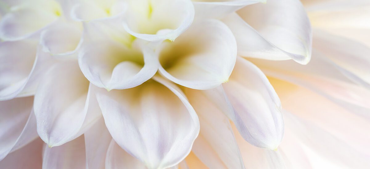 Roma & Alma Photography