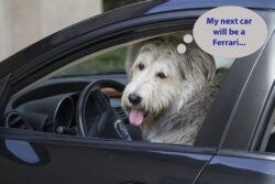 Grover has ambitions