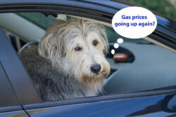 Grover is thinking