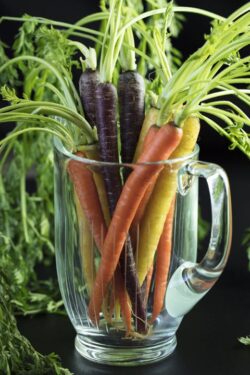Water pitcher full of orange, yellow and purples carrots with green tops still attached