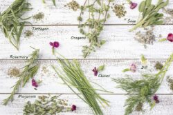 Tarragon, Rosemary, Chives, Sage, Marjoram and Dill herbs on a rustic table top with edible flowers