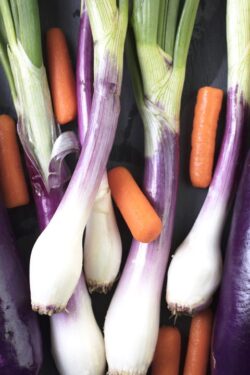 Green onions, Carrots, Japanese Eggplant and Zucchini bunch together on a slate cutting board