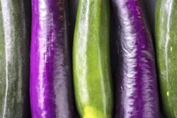 Zucchini and Japanese Eggplant in a Row