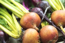 A bunch of golden and purple beets laying on a crate