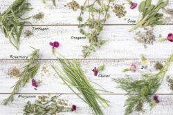 Tarragon, Rosemary, Chives, Sage, Marjoram and Dill herbs on a rustic table top with edible flowers