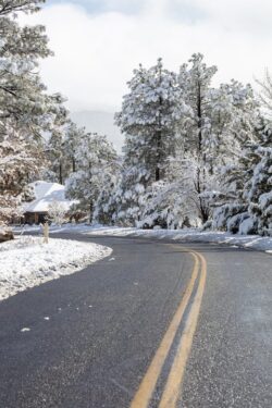 Beautiful snow after a storm in the mountains of Prescott, Arizona in a local community