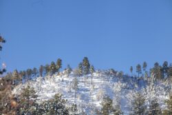 Beautiful sunshine and blues skies after a winter snow storm in Prescott Arizona