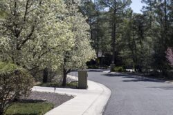 Springtime in Prescott, Arizona with forest in full bloom in a local community