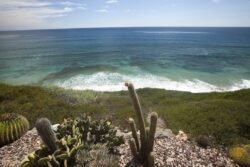 Cliffs, water and landscape views of Encinitas beach area