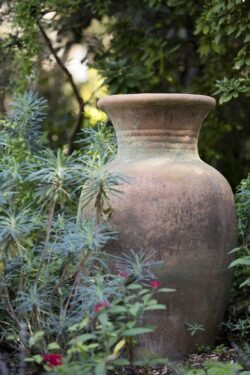 Vintage clay pot in lovely green setting at the San Diego Botanical Gardens in California