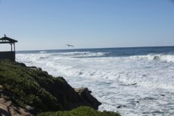 High waves cresting and hitting the coastline at La Jolla California