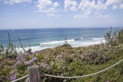 Coastal views and scene by the cliffs and beach at Del Mar, San Diego, California