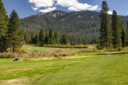 Field and meadow at Yosemite Park in Wawona in California