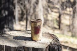 Vintage rusted and deteriorated beer can on a forest stump