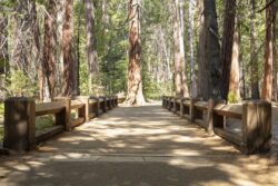 Bridge path into a trail in Yosemite Valley California
