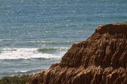 Torrey Park in San Diego