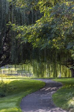 Beautiful walking path on the Boise River near Reid Merrill Park during summer