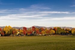 Reds, yellows, greens as colors of trees turn for the fall season in Eagle, Idaho in October