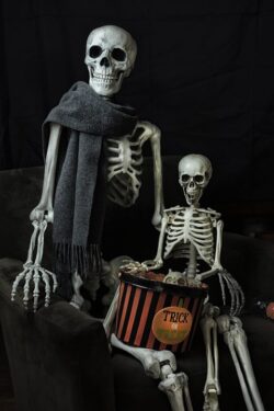 Two Halloween Skeletons getting ready for the holiday