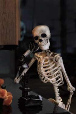 A Halloween celebration decor with a skeleton talking on a phone