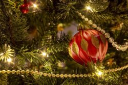 Lighted Christmas tree with holiday ornaments