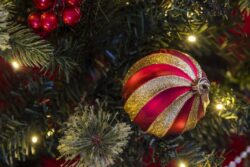 Lighted Christmas tree with holiday ornaments