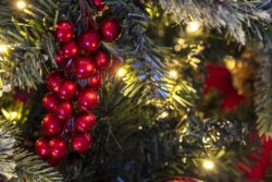 Glowing Berry Christmas trees decoration on a lighted tree for the holiday season