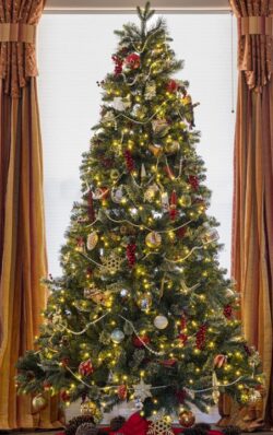 Decorated Christmas tree with lights and ornaments framed by orange and gold draped, backlit by a window for the holidays