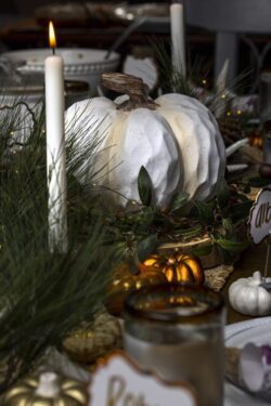 Dinner table set for a Thanksgiving party decorated with garland and pumpkins