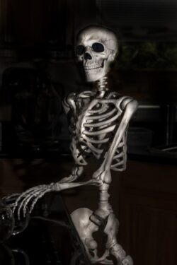Halloween skeleton at a kitchen stove top making tea