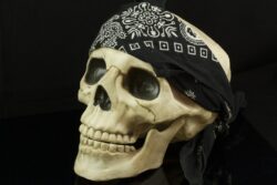 Pirate skull with bandana