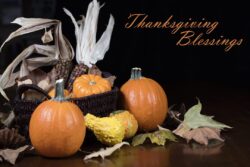 Orange Pumpkins, small gourds and Indian corn set on a table as a Thanksgiving decoration