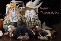 Orange Pumpkins, small gourds and Indian corn set on a table as a Thanksgiving decoration