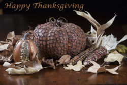Orange Pumpkins, small gourds and Indian corn set on a table as a Thanksgiving decoration