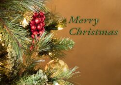 Christmas tree decorations for a holiday wish or blessing