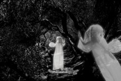 Haunted forest with two ghostly figures for a Halloween celebration